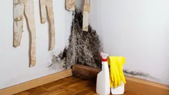 Dunkle Flecken an der Tapete – nicht nur Schmutz, sondern ein Anzeichen für gefährlichen Schimmelbefall darunter